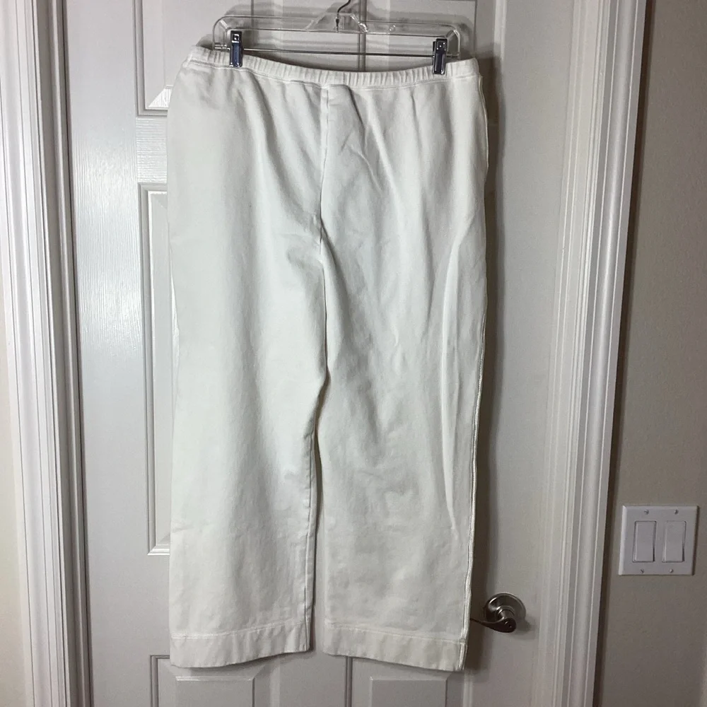 Liz Claiborne Villager Off-White Joggers Sz XL Pull-On Pants - Picture 4 of 13